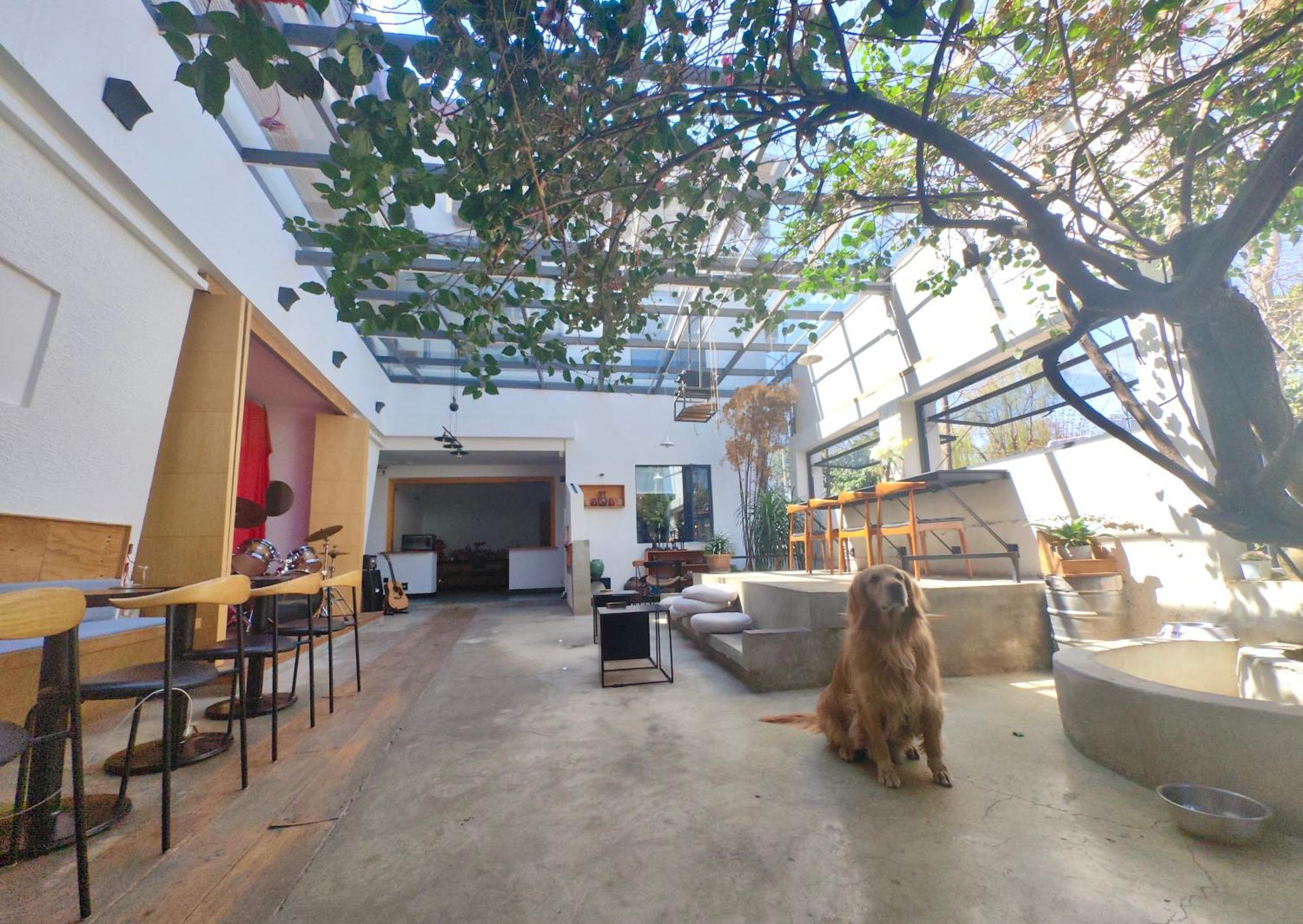 DaLi LOFT Travelling With Hostel Eksteriør bilde